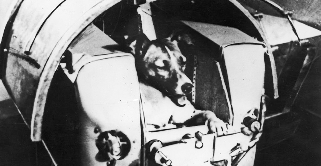 La triste historia de Laika, la perrita enviada al espacio por la URSS (a sabiendas que no regresaría)