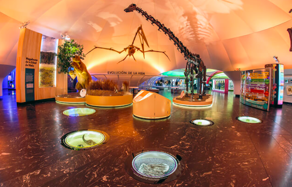 El Museo de Historia Nutual de la Ciudad de México es uno de los sitios más interesantes que podemos conocer.