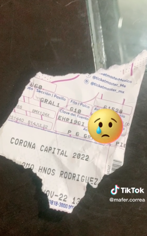 Perrito rompe el boleto de su dueña para el Corona Capital 2022