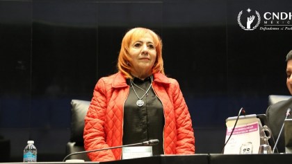 comparecencia Rosario Piedra CNDH senado 3