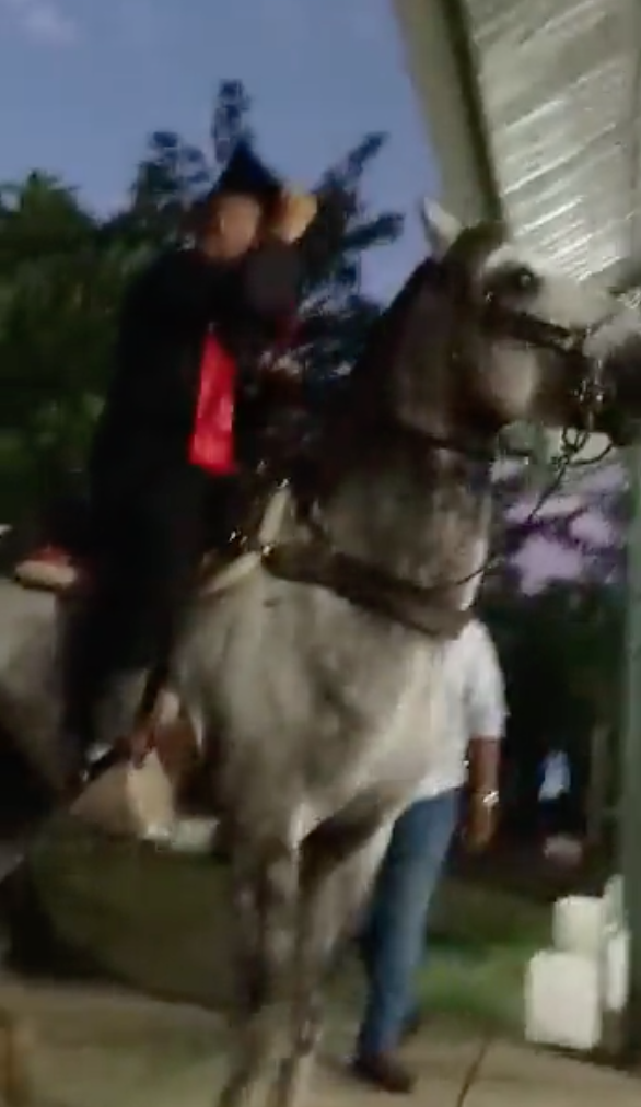 "Es mi amigo fiel": Joven se gradúa montado en su caballo y se hace viral 