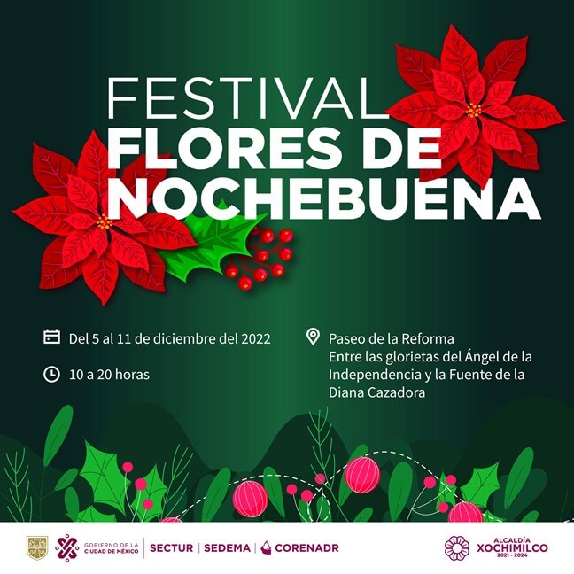 viene-a-la-cdmx-el-festival-flores-de-nochebuena-2022