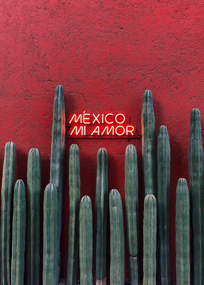 Lugares para concer México una vez en la vida 