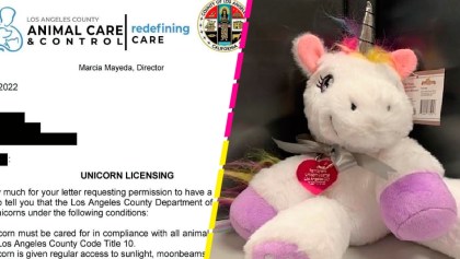 Awww: La historia de la niña que obtuvo la primera licencia para tener un unicornio en L.A.