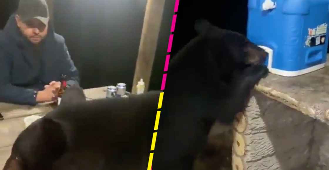 "¿Quieres cheve?": Oso sorprende a papá e hijo y su reacción se hizo viral