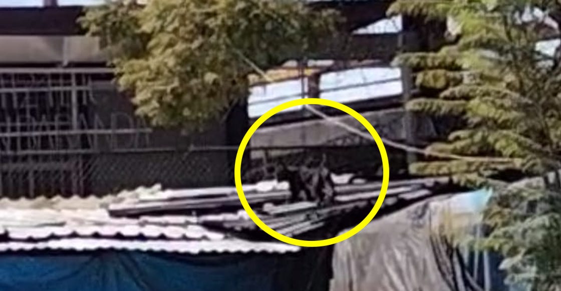 Pantera anda suelta en el paradero del Metro Tacuba en CDMX