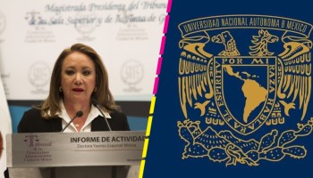 "Resulta evidente la existencia de un plagio": La postura de la UNAM ante las pruebas de Yasmín Esquivel