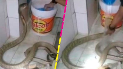 Casual: Joven se vuelve viral por bañar a su mascota serpiente