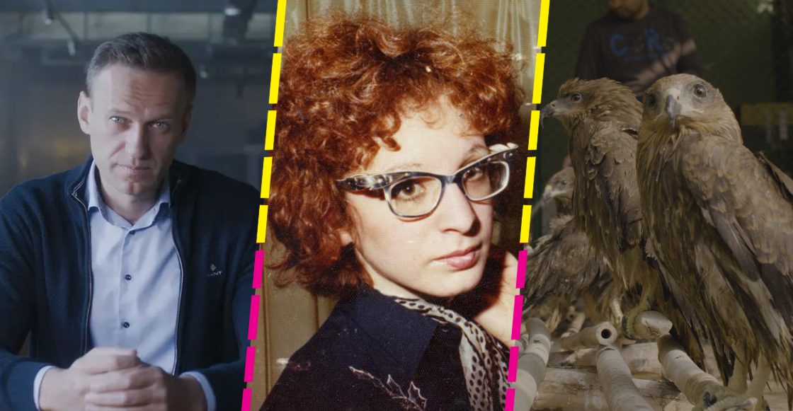 ¿De qué van los 5 documentales nominados a los Oscar 2023?