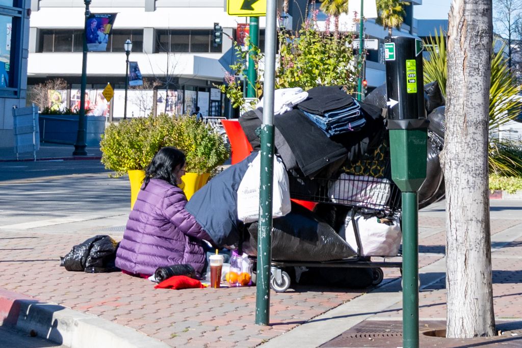 crisis de homeless California