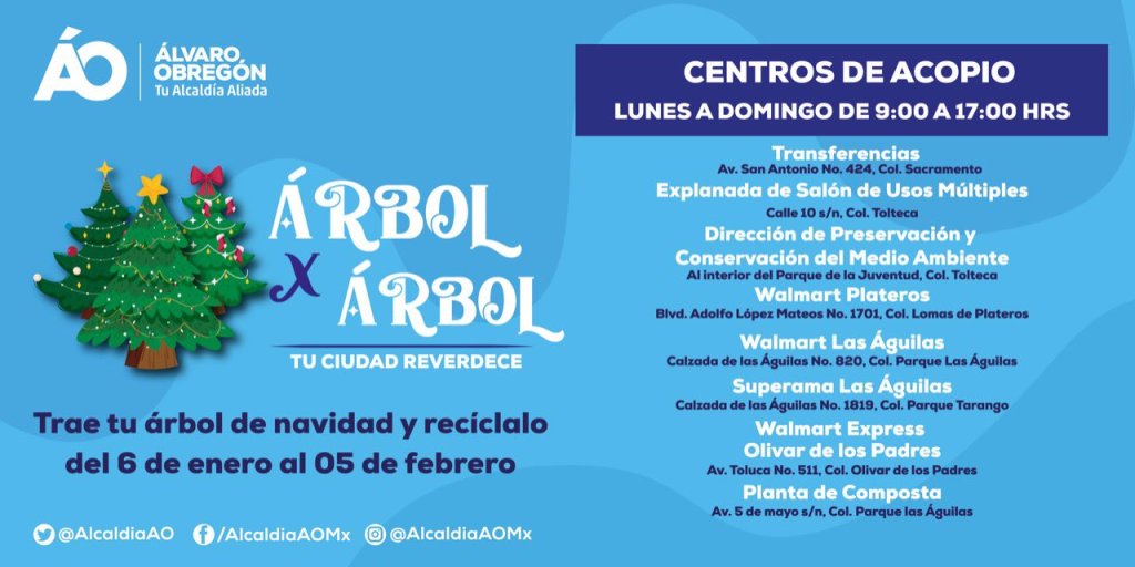 arbol-alcaldia-alvaro-obregon