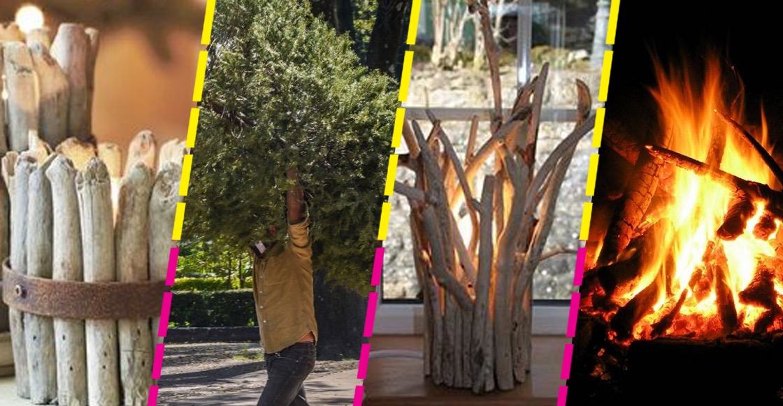 consejos-reciclar-arbol