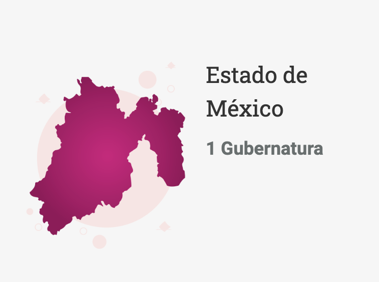 estado-mexico-elecciones-ine