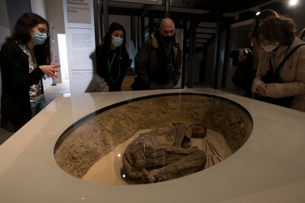 momia-museo-exhibición
