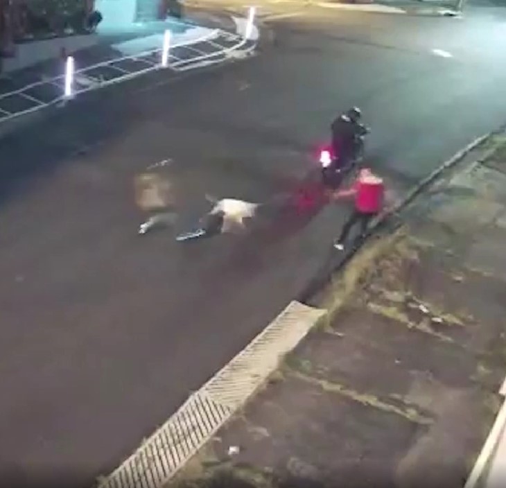 Perrito recibe disparo al salvar a su dueño de un asalto