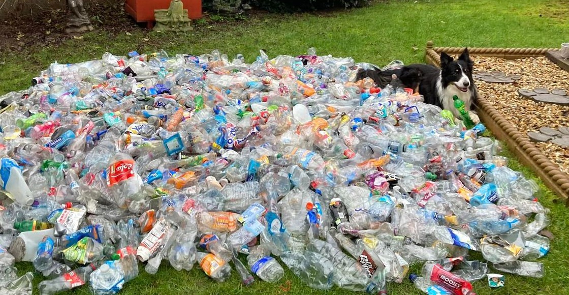 perro-botellas-reino-unido