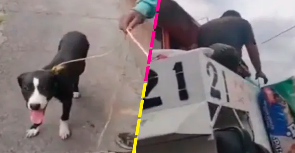 Mundo enfermo y triste: Vecina "tira" a un perrito a la basura en Edomex
