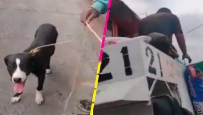 Mundo enfermo y triste: Vecina "tira" a un perrito a la basura en Edomex