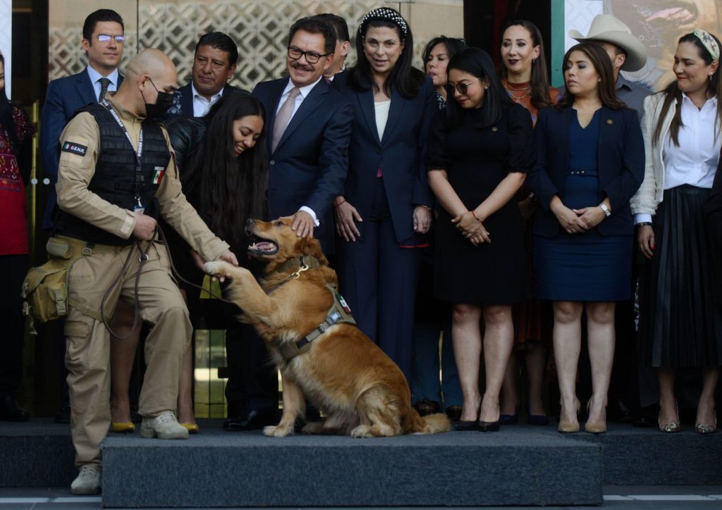 La ceremonia de jubilación de Lucas, un perrito que trabajó en la Cámara de Diputados