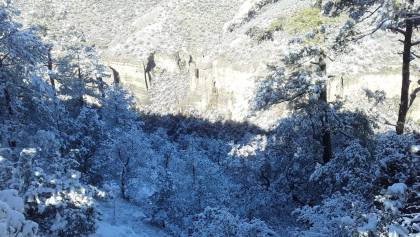 chihuahua-nieve-2-febrero-nevada