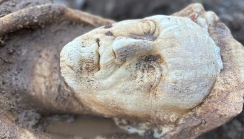 encontraron-estatua-hercules-drenaja-roma