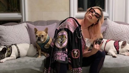 Mujer demanda a Lady Gaga por no pagarle recompensa por devolver a sus perros robados