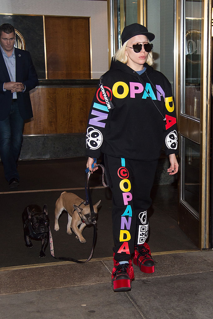Lady Gaga paseando a su perro 
