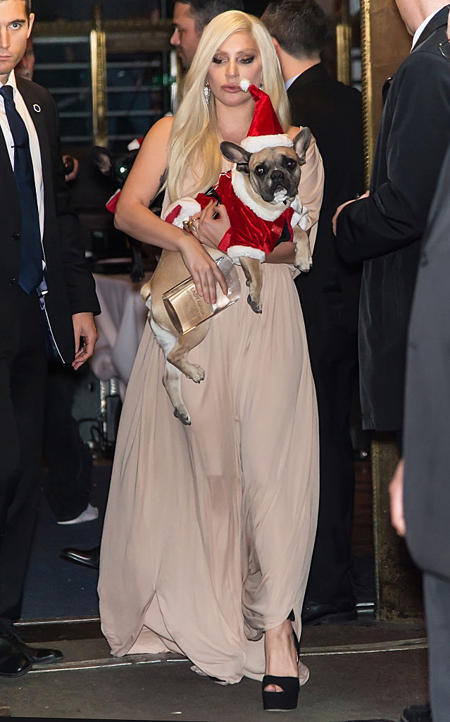 Lady Gaga y su perro 
