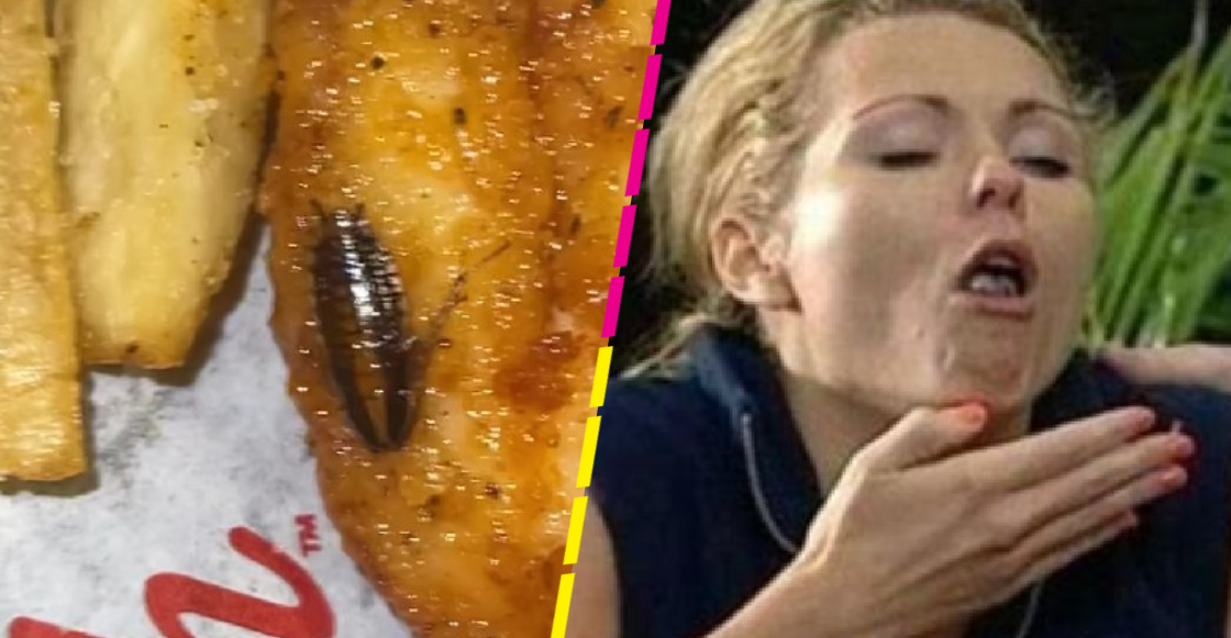 Mujer encuentra cucaracha en su pollo frito y grabó video como evidencia