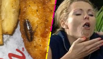 Mujer encuentra cucaracha en su pollo frito y grabó video como evidencia