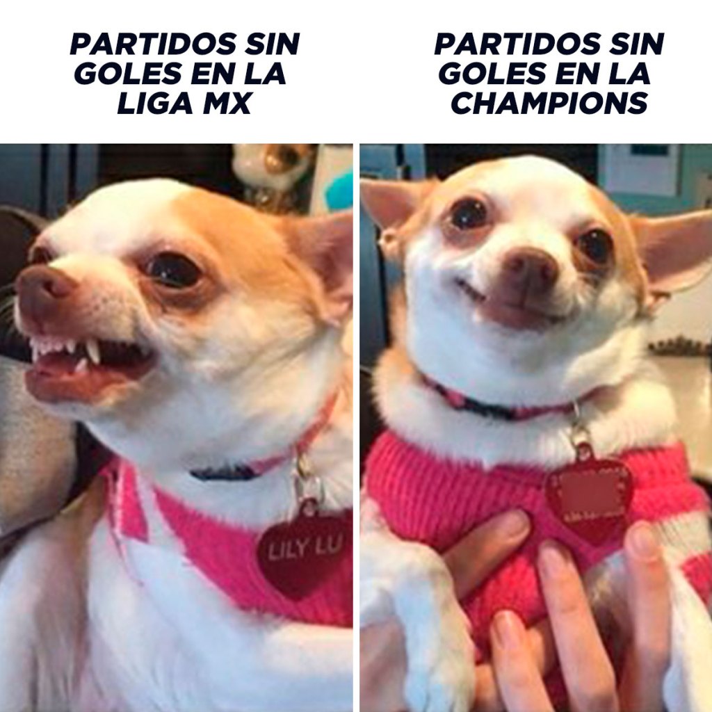 Champions league Partidos memes