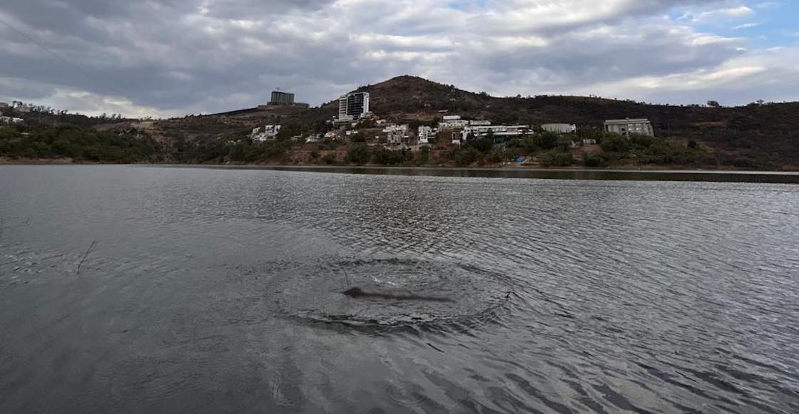 Residents assure sighting of a monster in the Madín de Atizapán dam