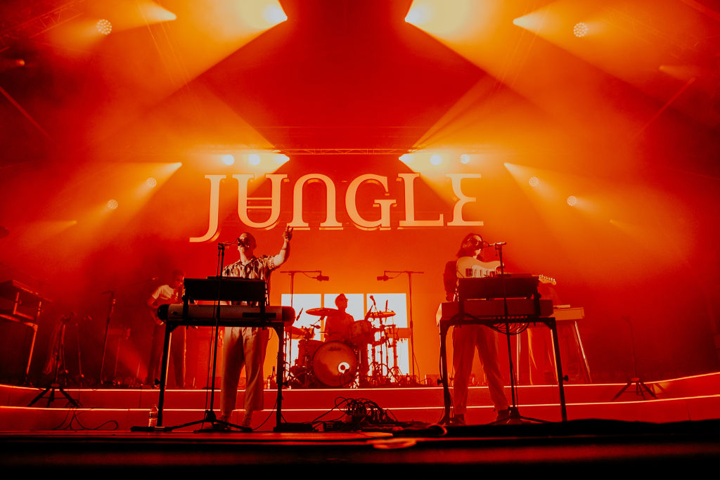 Jungle concierto 