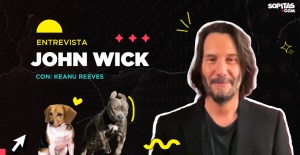 Keanu Reeves nos habla de la debilidad del protagonista en ‘John Wick 4’. Noticias en tiempo real