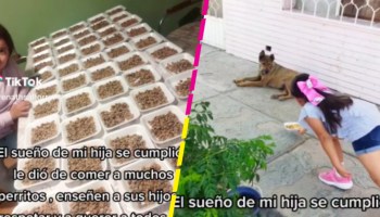 Cumplió su sueño: Niña se hace viral por repartir comida a perritos callejeros
