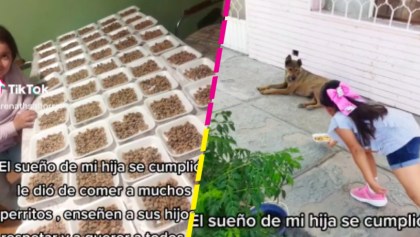 Cumplió su sueño: Niña se hace viral por repartir comida a perritos callejeros
