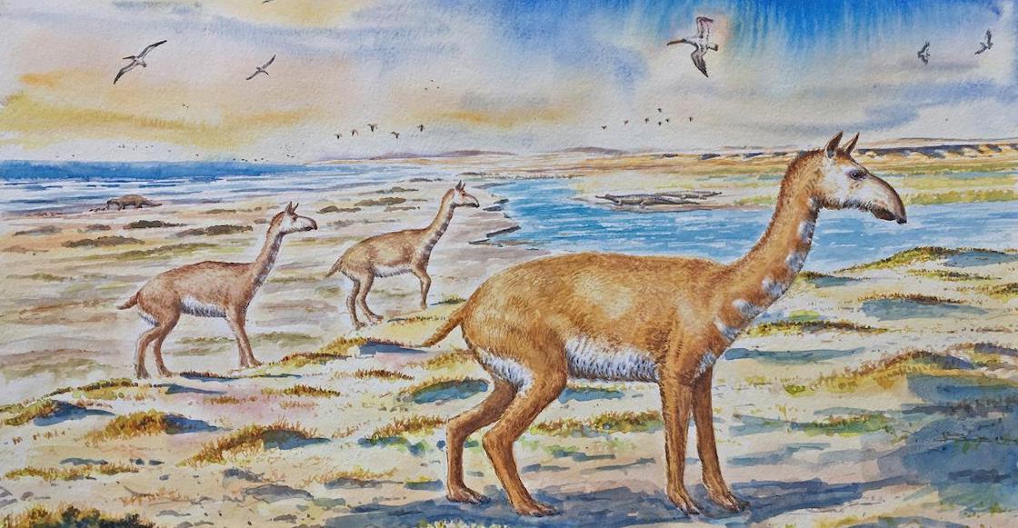 Representación de la nueva especie de animal prehistórico de Chile.