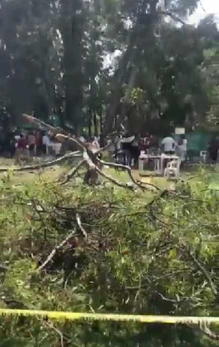 Video: Caída de árbol en balneario de Guanajuato