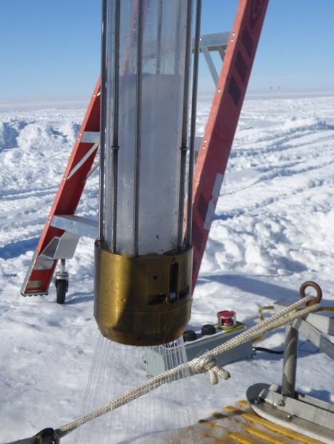 Científicos descubren que hay vida en la Antártida
