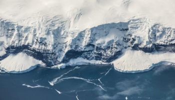 Científicos descubren que hay vida en la Antártida