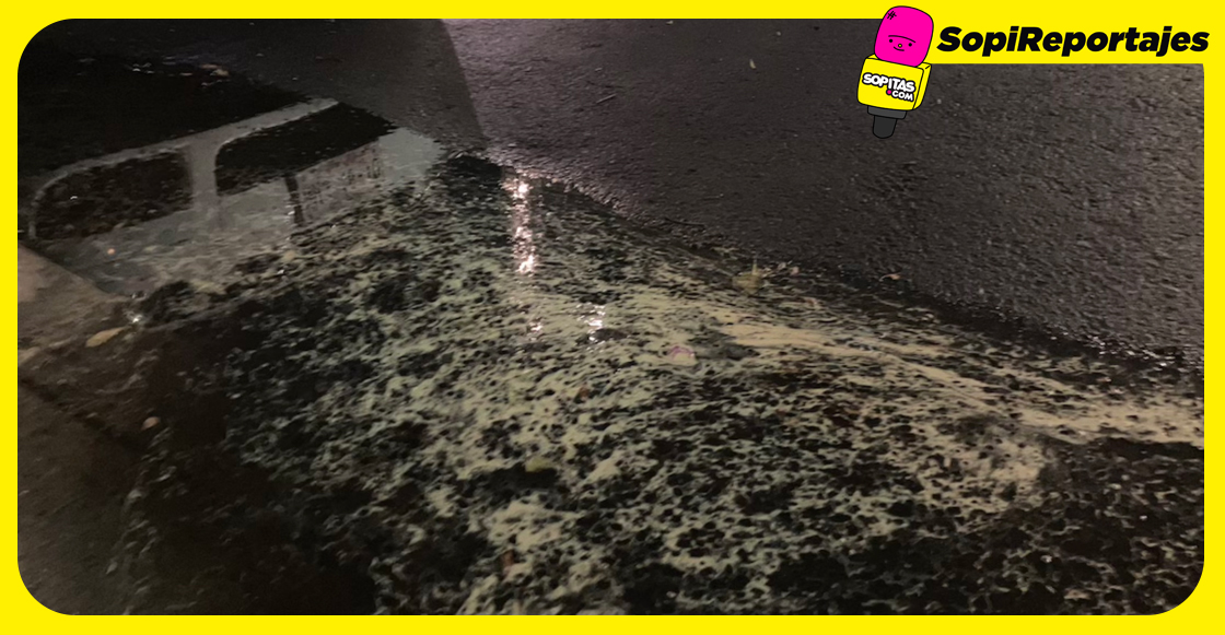 espuma-amarilla-charcos-despues-de-llover-cdmx-que-es-polen-1