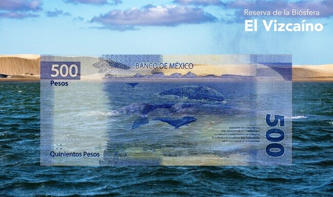 Estos son los paisajes que aparecen en los billetes