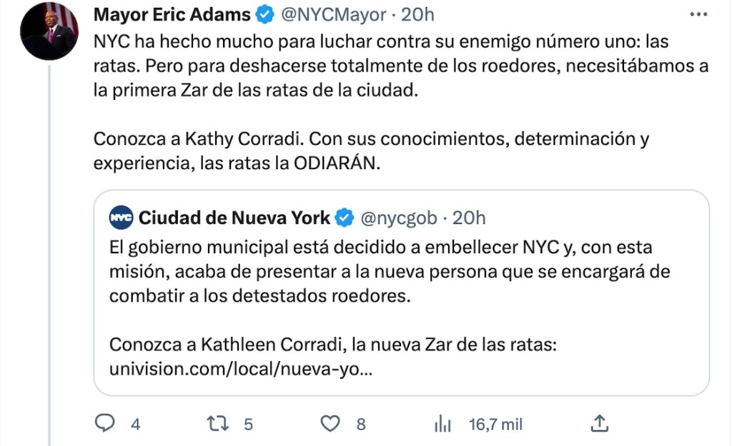 ratas-nueva-york-zarina