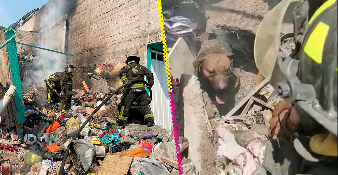 El rescate de un perrito tras el incendio de una casa en Iztapalapa