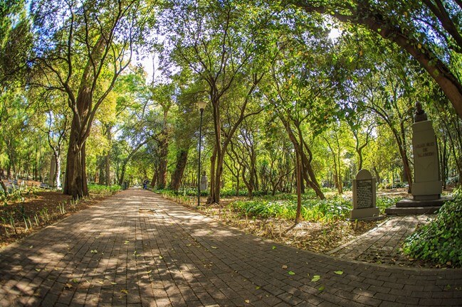 Lugares secretos del Bosque de Chapultepec