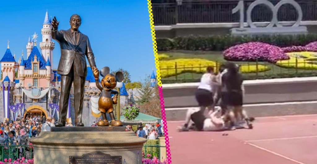 Dos familias arman pelea campal en Disneyland por... ¡¿una foto?!