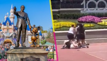 Dos familias arman pelea campal en Disneyland por... ¡¿una foto?!