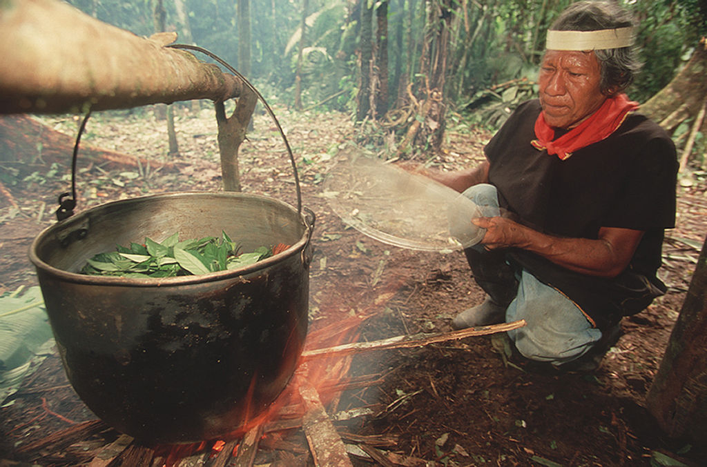 Chaman preparando ayahuasca
