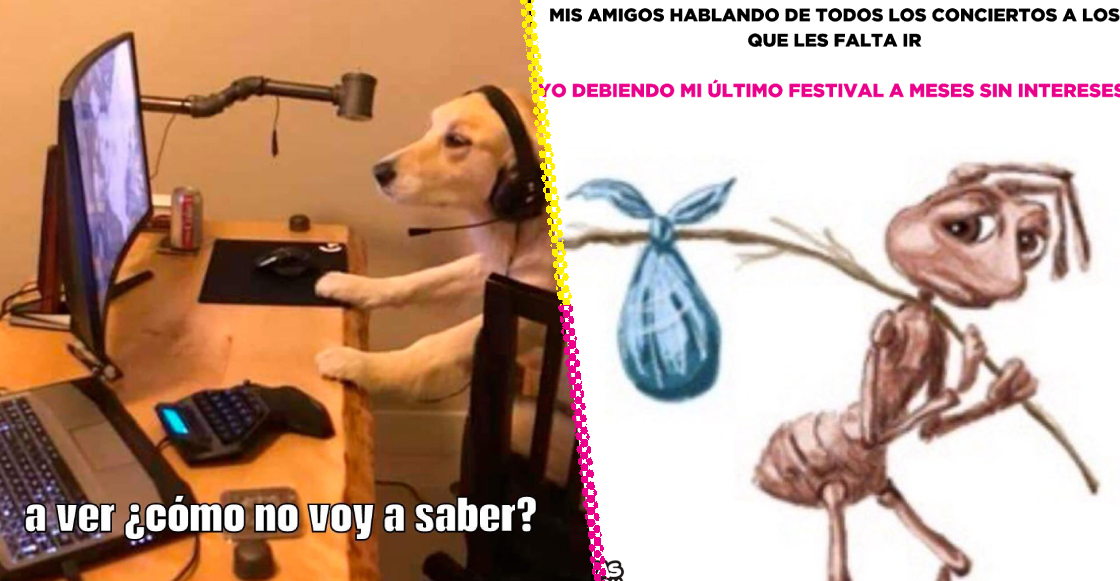 Meme Risa Triste La historia detrás del meme: ¿De dónde salió la imagen de la hormiga ...