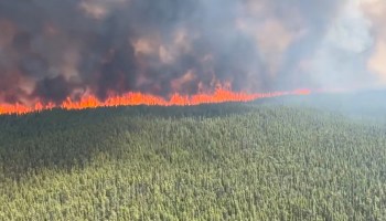 incendios-forestales-canada-noruega-nueva-york